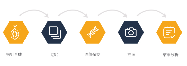 腾博官网-诚信为本,专业服务!