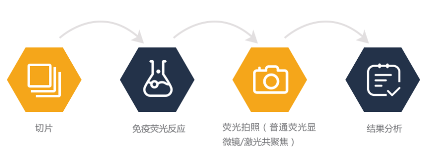 腾博官网-诚信为本,专业服务!