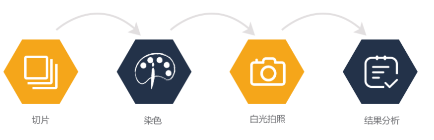 腾博官网-诚信为本,专业服务!