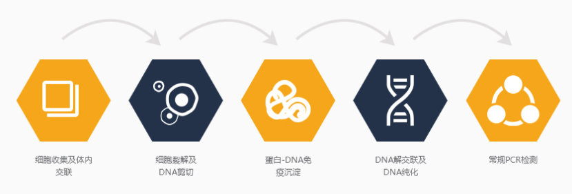 腾博官网-诚信为本,专业服务!
